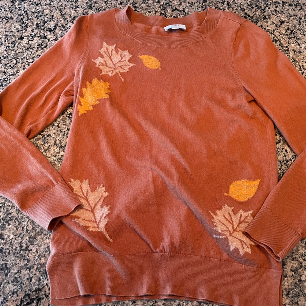 LOFT Terracotta Knit Sweater